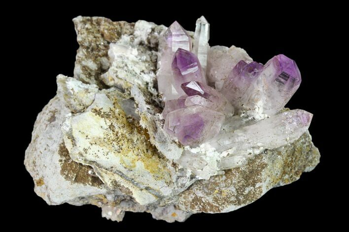 Amethyst Crystal Cluster - Las Vigas, Mexico #137003
